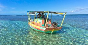 Foto: (istock)