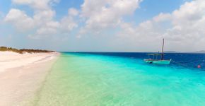Foto: (CircleEyes/iStock)