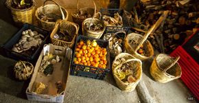 Comunidades alternativas sustentáveis surgem como opção à crise grega