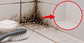 Parede úmida e com mofo recorrente? Especialista indica percarbonato de sódio para remover manchas pretas antigas sem precisar esfregar com força
