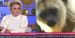 Foto: (Reprodução/TV Globo)