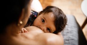 Foto: (Amanda Caroline da Silva/istock)