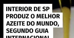 Azeite do interior de SP é eleito o melhor do mundo por guia internacional