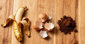 O adubo caseiro de 1 real que faz qualquer frutífera de vaso dar o dobro de frutos