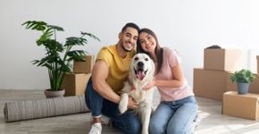 7 dicas para o animal se adaptar com a mudança na rotina 