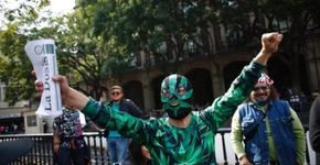 No México, Suprema Corte libera consumo e cultivo de maconha para ativistas