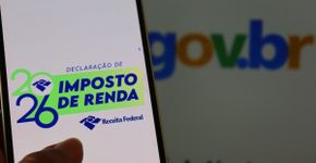 MEI e Imposto de Renda: como declarar os rendimentos sem cair na malha fina
