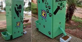 Estudante cria máquina para distribuir alimentos para cães de rua 24h por dia