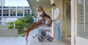 Campanha de doação de órgãos mostra história entre idoso e o seu cachorro