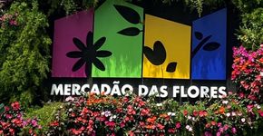 Foto: (Divulgação)