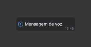 Foto: (Captura de tela do WhatsApp)