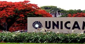 Unesp e Unicamp oferecem cursos online e gratuitos