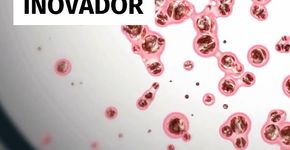 Medicamento inovador elimina uso de insulina em 10 pacientes com diabetes tipo 1