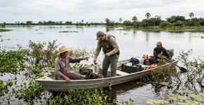 Ampliado em 2026 para 183.095 hectares: o parque no coração do Pantanal que protege espécies ameaçadas como onça-pintada, ariranha, tatu-canastra e cervo-do-pantanal