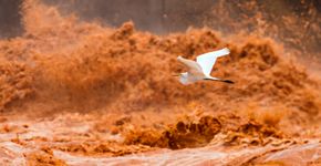 Foto: (Leonardo Merçon / Instituto Últimos Refúgios)