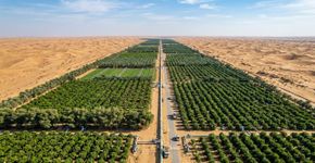 A Arábia Saudita está transformando as águas residuais em um corredor verde em constante expansão no meio do deserto