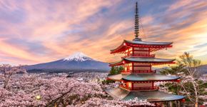 Foto: (Sean Pavone/iStock)