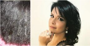 Foto: (Reprodução)
