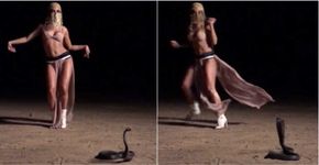 Anitta posta vídeo em que cobra é maltratada e divide opiniões