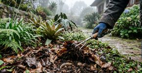 3 lugares no jardim viram abrigo de inverno para pragas: e quase todo mundo cria esses esconderijos sem perceber