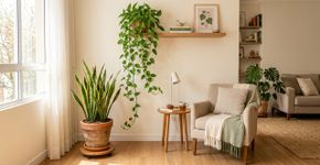 “Não precisa regar com frequência para que cresça bem”: Plantas de baixa manutenção recomendadas para pessoas ocupadas
