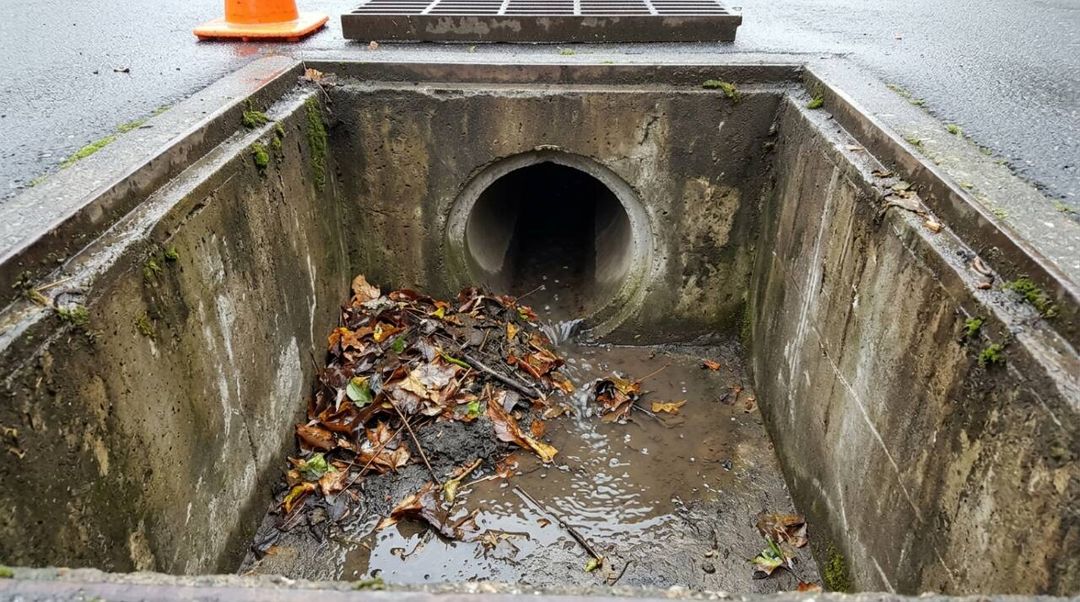 Folhas na caixa de passagem podem reduzir a vazão do ralo externo. Saiba onde os resíduos se acumulam e como evitar transbordamentos durante chuvas fortes.