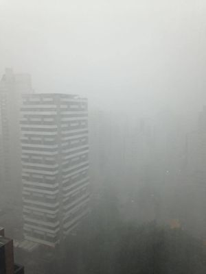 Jackeline Pereira (Avenida Ibirapuera)