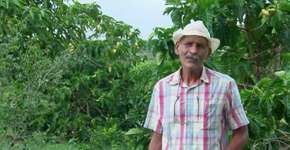 Professor planta milhares de árvores em cidade de Pernambuco