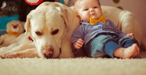 Relação com pets favorece autoestima e habilidades sociais
