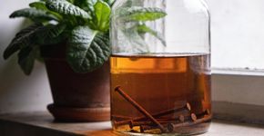 Um truque inesperado para flores: por que vale a pena jogar alguns pregos enferrujados na água