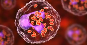 Foto: (Dr_Microbe/istock)