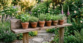 Se você tem uma tábua velha, ela pode ganhar uma função diferente no jardim