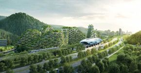 Cidade floresta chinesa terá 40 mil árvores e 1 milhão de plantas