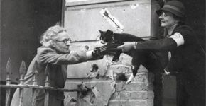 Livro denuncia massacre de 750 mil animais na Segunda Guerra