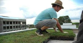 Agrônomo cria jardim em telhados de SP