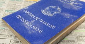 Foto: (Divulgação)
