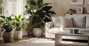 O truque de Feng Shui com plantas para sua família parar de brigar