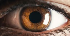 Foto: (Francesco Sgura/istock)