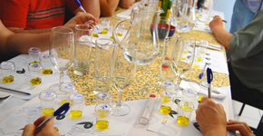 Que tal fazer uma degustação de azeites? Acredite: é uma delícia