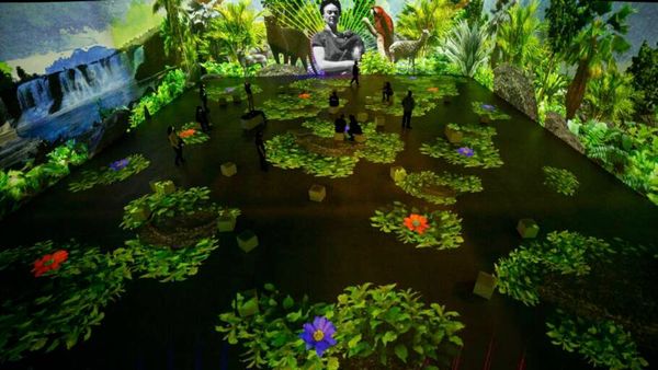 Guia Toddynho - Exposição sobre a Frida Kahlo