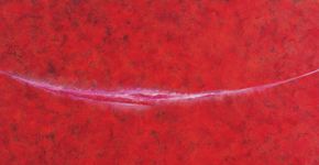 Instituto Tomie Ohtake: O Corpo Denso da Imagem
