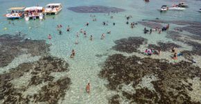 Foto: (Brastock Images/iStock)