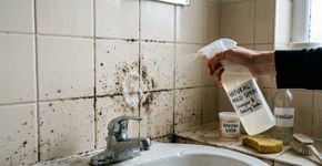 Essa mistura caseira e barata remove mofo e umidade das paredes do banheiro sem produtos químicos