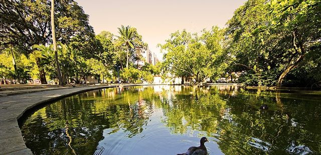 5 lugares perfeitos para você fazer um piquenique no Recife