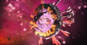 Foto: (koto_feja/istock)