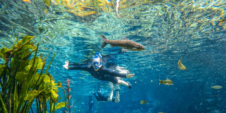 Featured main: Venda direta de passeios ameaça mudar o equilíbrio do turismo em Bonito (MS)