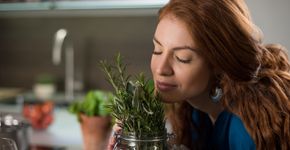Foto: (iStock/Ridofranz)