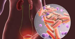 Foto: (iStock/Dr_Microbe)