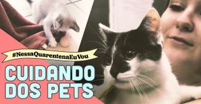 3 dicas certeiras para você cuidar dos seus gatos nesta quarentena
