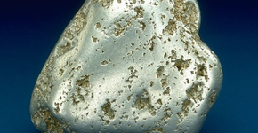 Foto: (Chip Clark, Smithsonian Institution/U.S. Geological Survey)